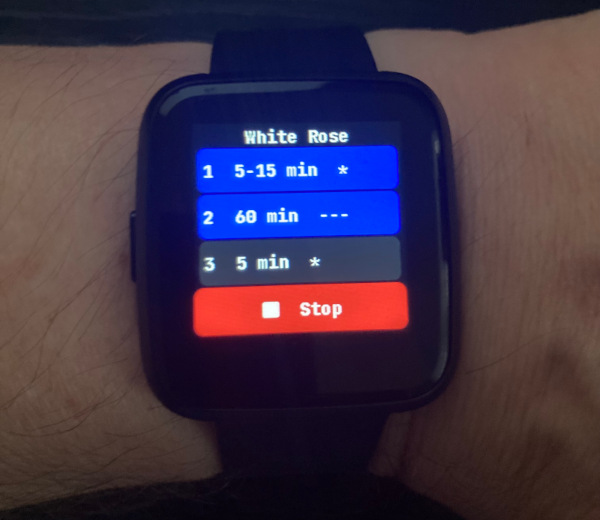 whiterose timer worn on hand